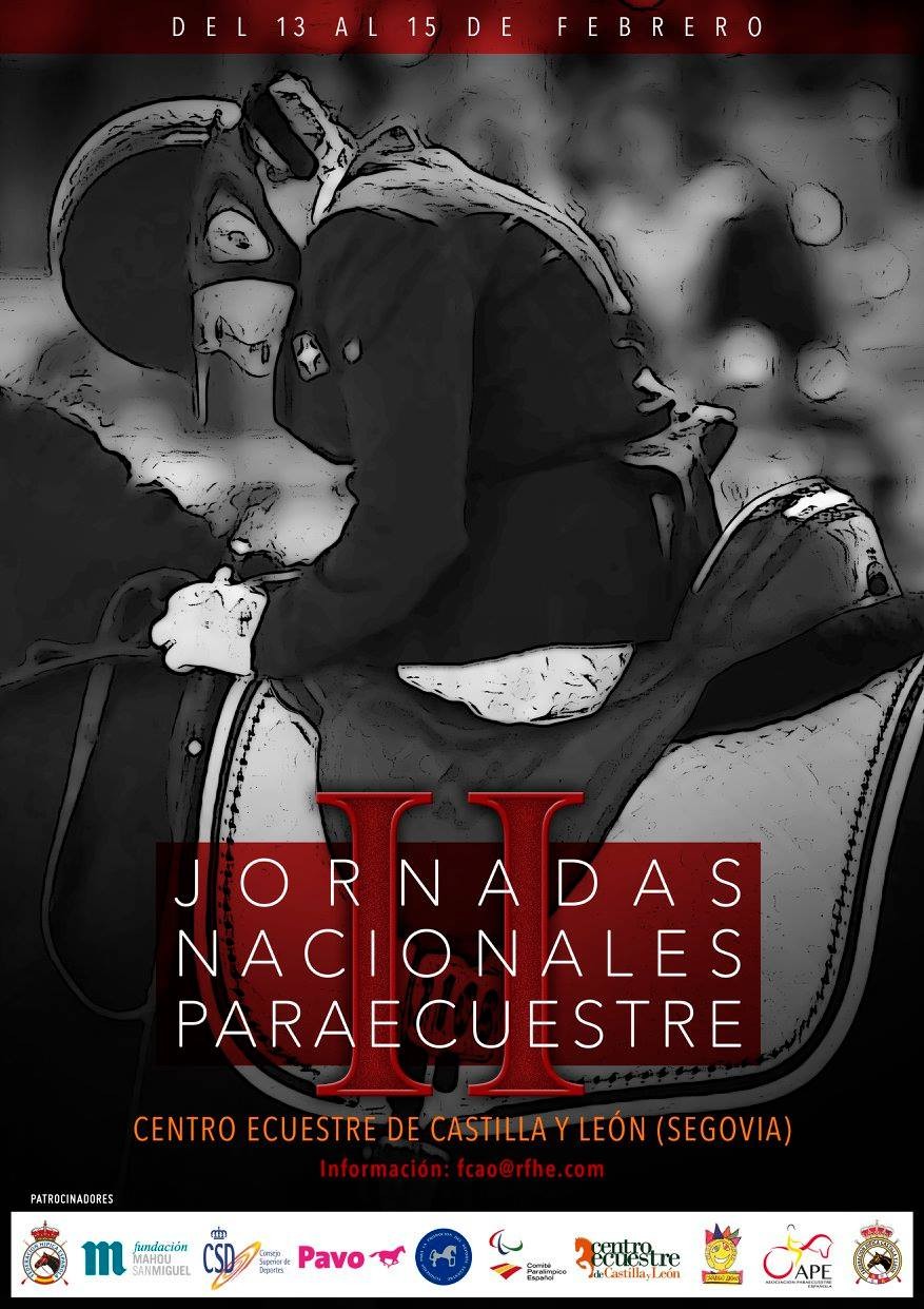 Curso terapias asistidas y coaching con caballos en el Club H&iacute;pico Valle de Aranguren